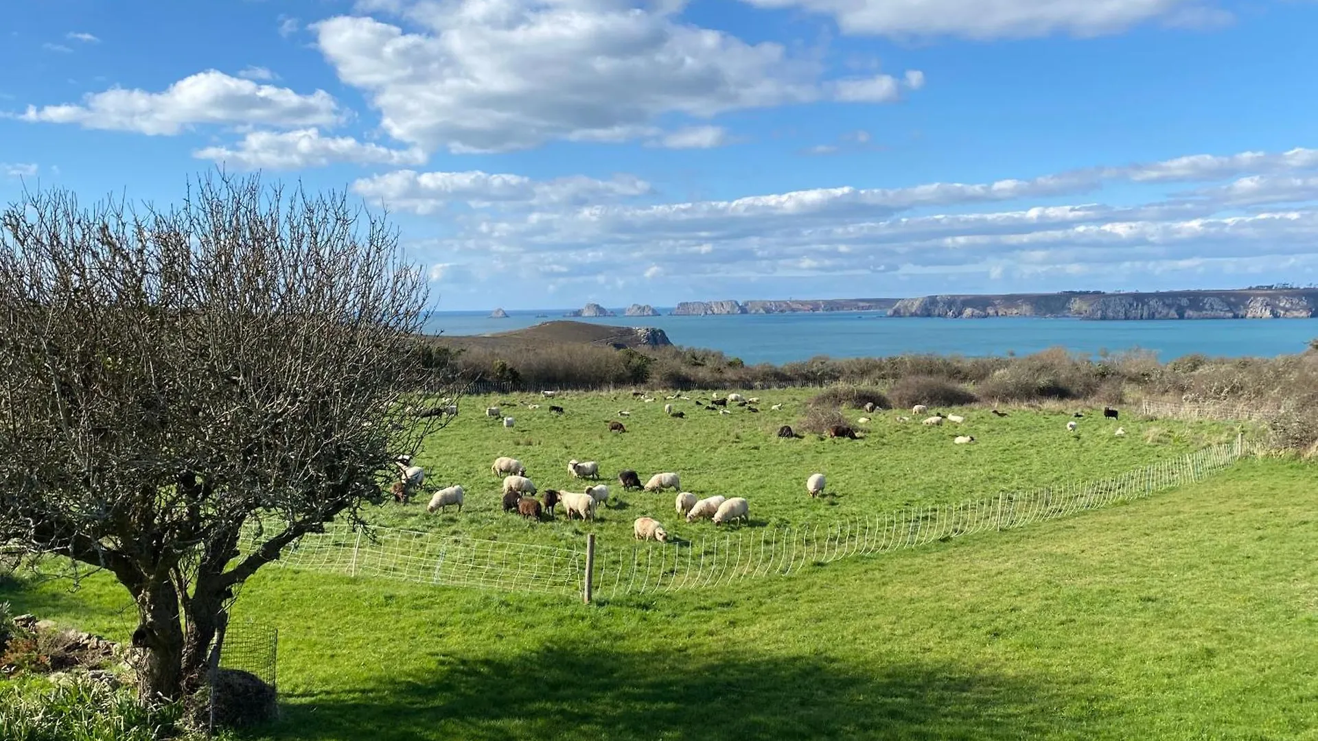 Penty Kergonan Avec Belle Vue Mer - Crozon, Bretagne